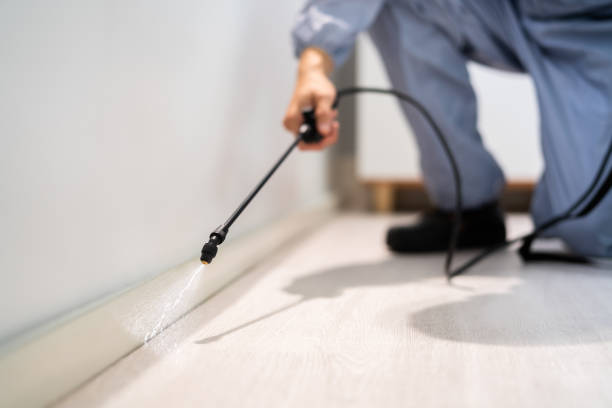 Licensed Fumigation Services service in Bernalillo County County, NM - Nex Pest Control